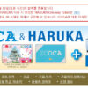 이코카하루카패스
