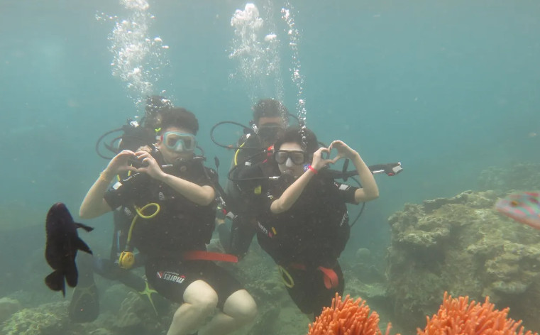 산호초 체험 다이빙 (자격증 불필요 / 나트랑 출발)