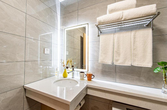 디즈니랜드 왕복 셔틀