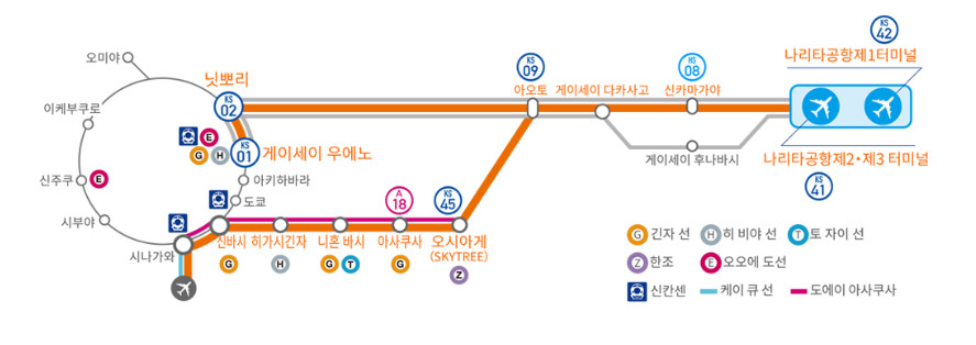 스카이 액세스 특급