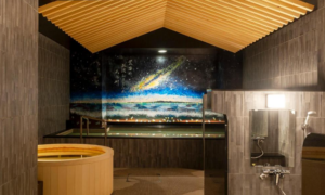 Hotel Global View Niigata