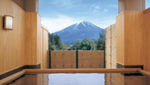 Wakakusa no Yado Maruei Ryokan
