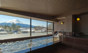Mt. Fuji View Onsen Ooike Hotel