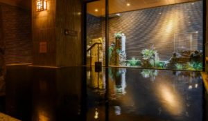 Dormy Inn Premium Ginza Hot Springs