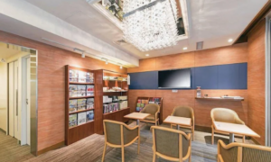 Ginza Capital Hotel Akane