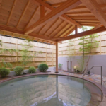 Nikko Station Hotel Classic