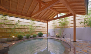 Nikko Station Hotel Classic