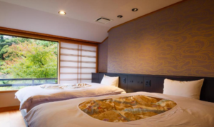 Nikko Hoshinoyado Hotel