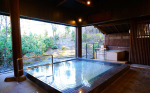 Nikko Hoshinoyado Hotel