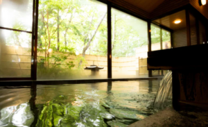 Fuji Yamanakako Hotel