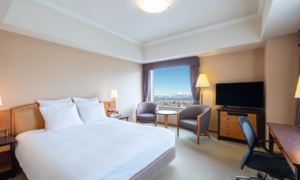 ANA Crowne Plaza Toyama By IHG