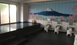 Fujisan Resort Hotel