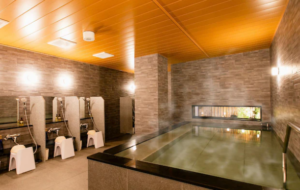 KOKO HOTEL Hidatakayama