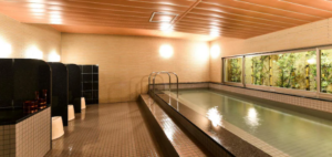 Hida Takayama Washington Hotel Plaza