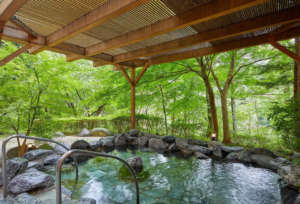 Hotel Harvest Kinugawa