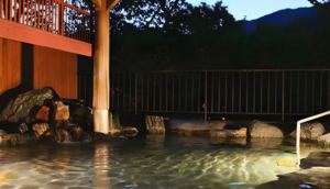 Ooedo Onsen Monogatari Hotel Kinugawa Gyoen