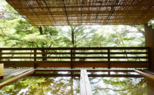 Kinugawa Onsen Hotel Manyotei