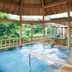 Ooedo Onsen Monogatari Premium Kinugawa Kanko Hotel