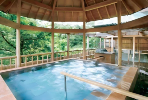 Ooedo Onsen Monogatari Premium Kinugawa Kanko Hotel