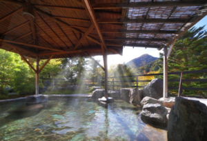 Hotel Sunshine Kinugawa