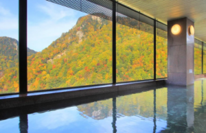 Choyo Tei Hotel