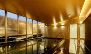 Hotel Vischio Toyama