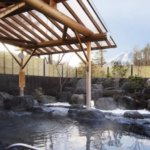 리조트 인 후요 가와구치 인터 (Resort Inn Fuyo Kawaguchiko Inter)