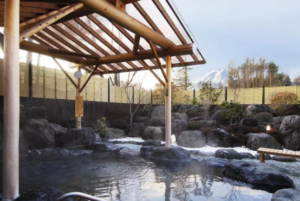 리조트 인 후요 가와구치 인터 (Resort Inn Fuyo Kawaguchiko Inter)