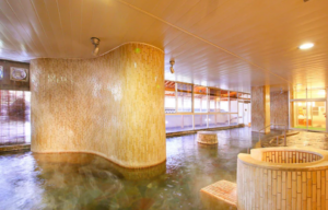오에도 온센 모노가타리 호텔 신코 (Ooedo Onsen Monogatari Hotel Shinko)