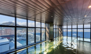 하코다테 코쿠사이 호텔 (Hakodate Kokusai Hotel)