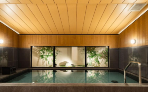 호텔 슈란자 치바 (Hotel Shuranza Chiba)