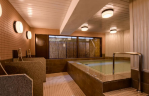 호텔 아시리 나라 (Hotel Asyl Nara)