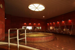 스파 리조트 인 더 포레스트 홋카이도 호텔 (Spa Resort in the Forest Hokkaido Hotel)