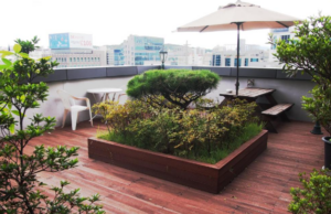 굿모닝 레지던스 호텔 휴 (Good Morning Residence Hotel Hue)