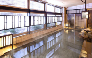 내추럴 핫 스프링 스파 도미 인 기후 에키마에 (Natural Hot Spring Spa Dormy Inn Gifu Ekimae)