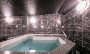 이세 펄 피어 호텔 (Ise Pearl Pier Hotel)