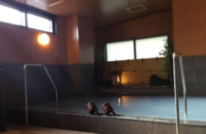 산코 인 이세시 에키마에 (Sanco Inn Iseshi Ekimae)