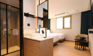 뉴블랑 센트럴 명동 (New Blanc Central Myeongdong)