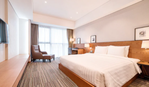 골든튤립 인천공항 호텔 앤 스위트 (Golden Tulip Incheon Airport Hotel & Suite)